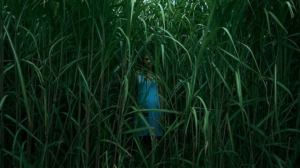 In the tall grass