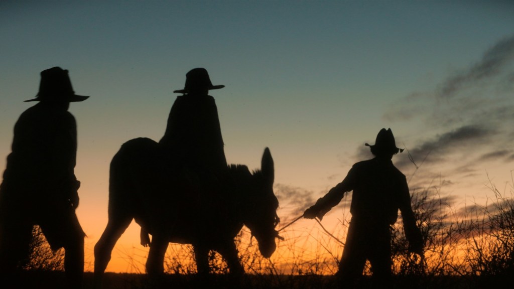 Philomac, Max & Mr. Donkey riding into sunset