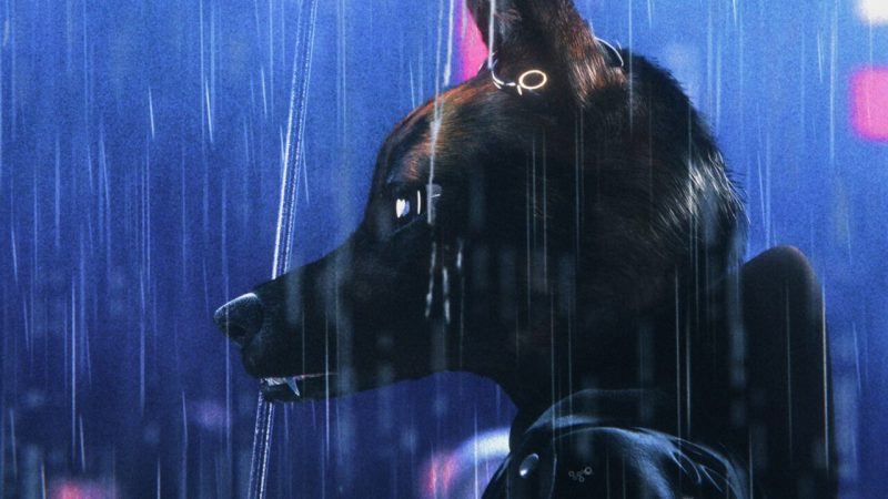 Anthropomorphic wild dog with umbrella