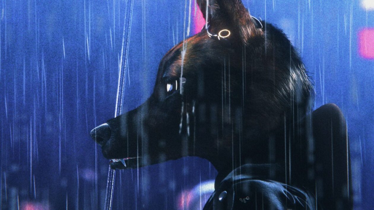 Anthropomorphic wild dog with umbrella