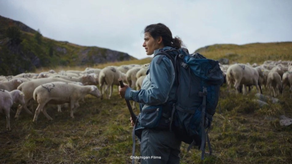 Hana with her flock of sheep